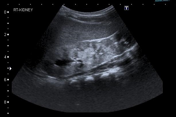 MAANU Scan Centre